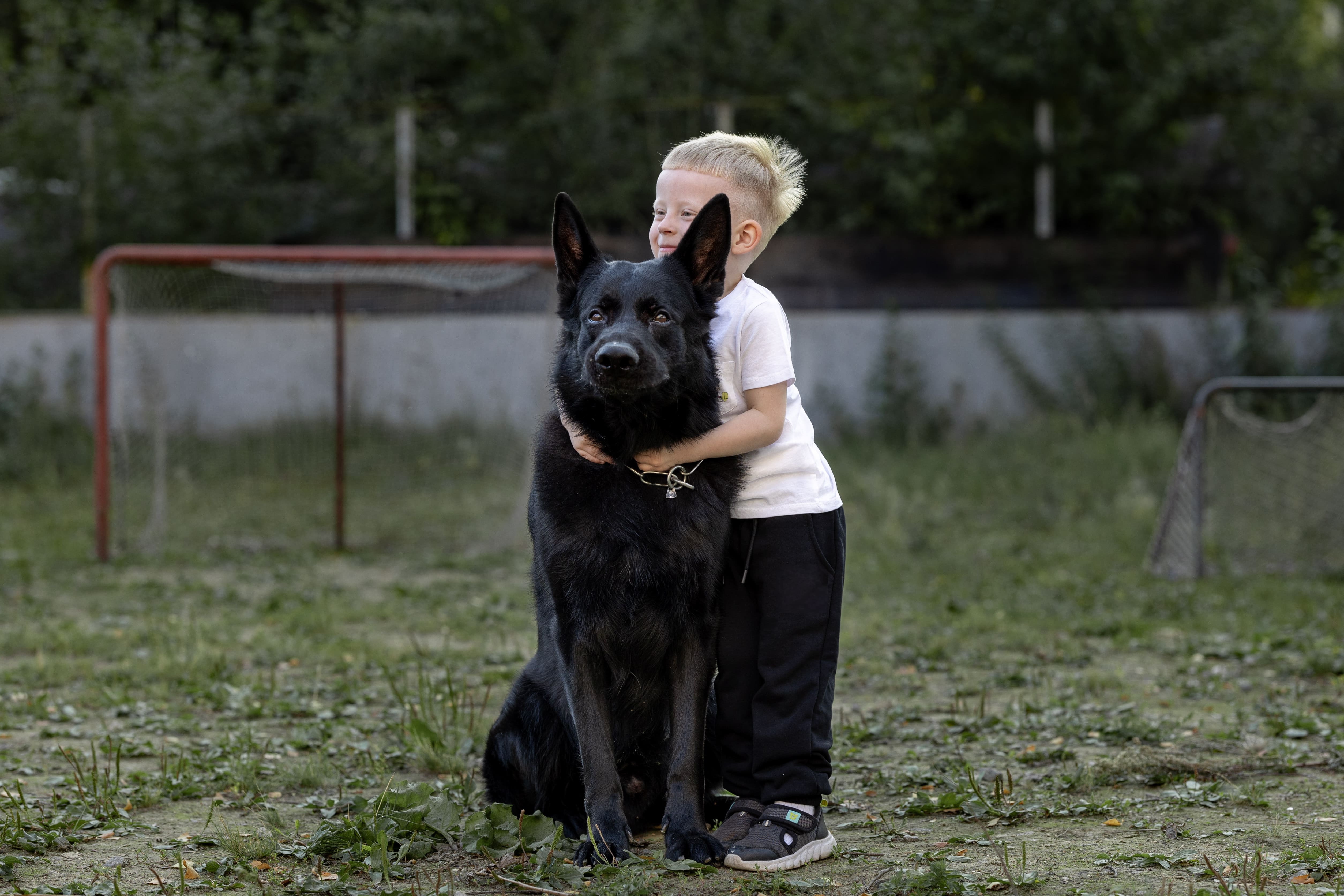 Личный опыт: наш коллега рассказал, хорошо ли делить дом с собакой, когда ты ребёнок, и о чём важно помнить, когда становишься родителем