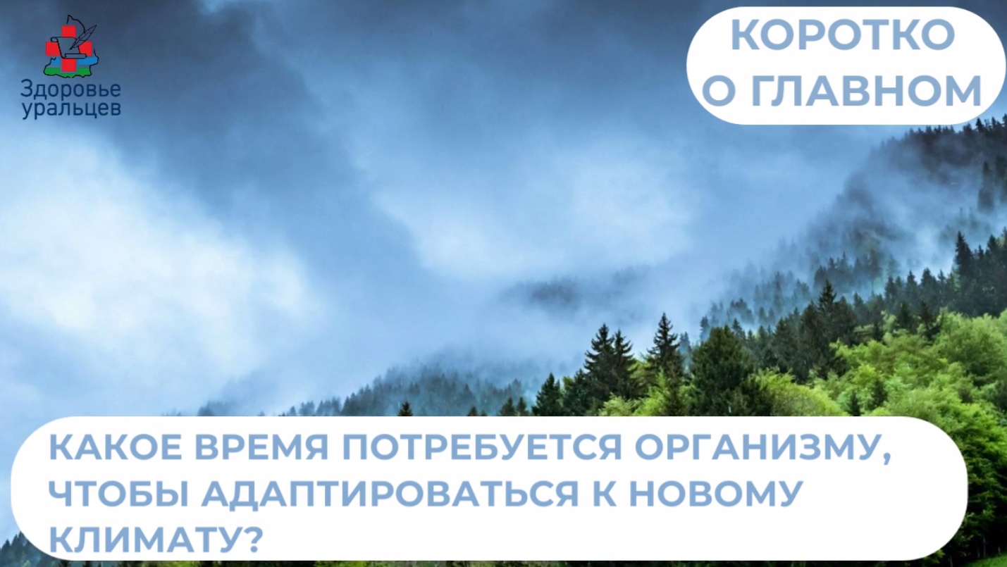 Врач - пульмонолог об адаптации в новом климате
