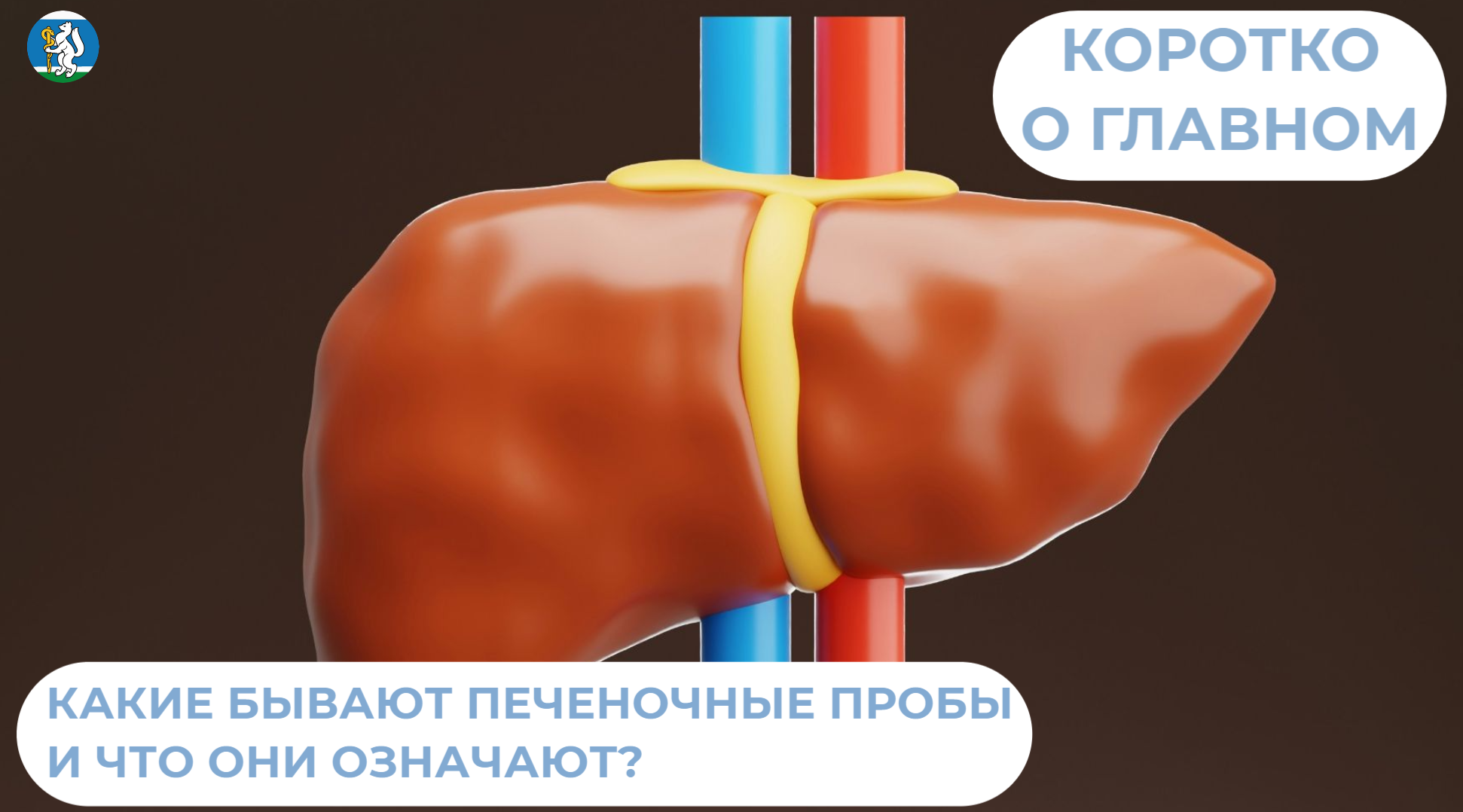 Какие бывают печеночные пробы и что они означают?