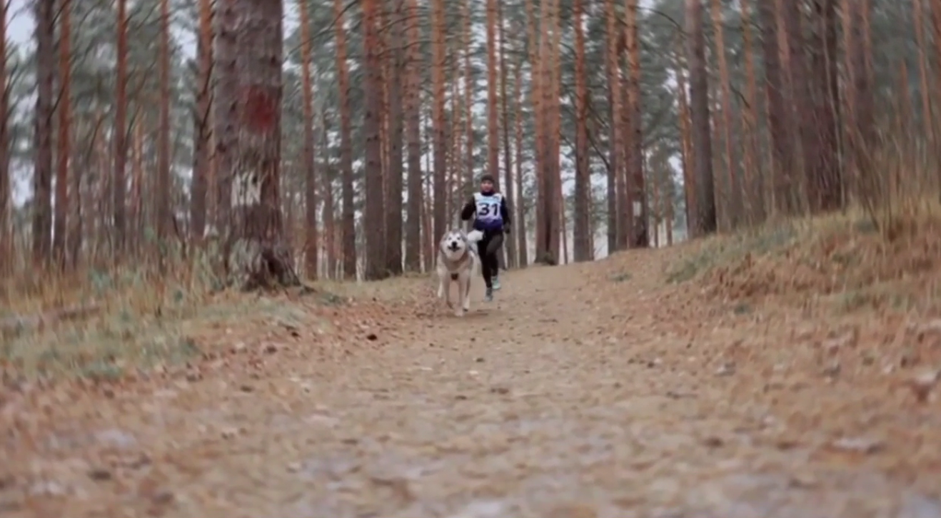 Врачи знакомят свердловчан с замечательным видом физической активности – каникроссом 