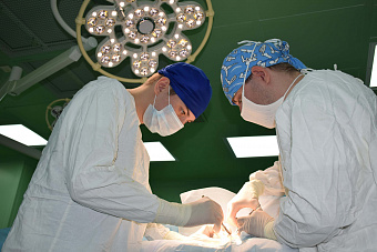 В преддверии летних каникул уральские врачи напомнили родителям и детям о необходимости беспрекословного соблюдения ПДД