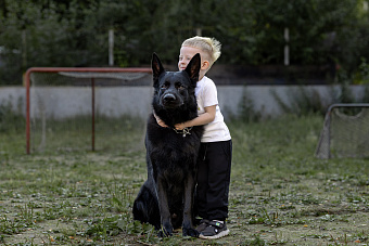 Личный опыт: наш коллега рассказал, хорошо ли делить дом с собакой, когда ты ребёнок, и о чём важно помнить, когда становишься родителем