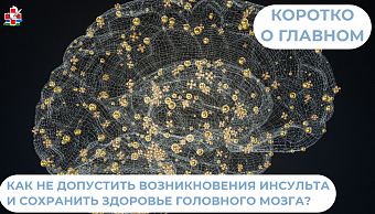 Как не допустить возникновения инсульта и сохранить здоровье головного мозга?