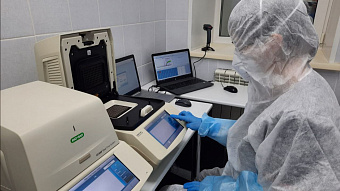 Медики напомнили свердловчанам, как избежать кишечных инфекций во время летних каникул