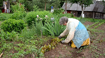 Как сохранить здоровье, работая на даче?