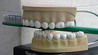 Эксперт рассказал уральцам, какие проблемы позволяет решить плановое посещение стоматолога дважды в год