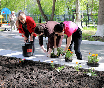 Учреждения здравоохранения Свердловской области присоединились к мероприятиям экологической недели
