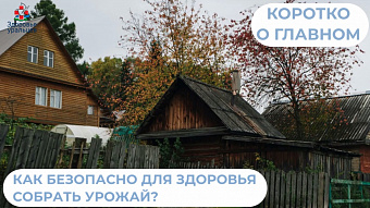 Как безопасно для здоровья собрать урожай?
