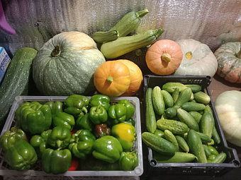 Дачные риски: как не обгореть, просушивая погреб для хранения урожая, рассказывают спасатели Медицины катастроф