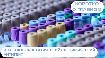 Что такое простатический специфический антиген? 
