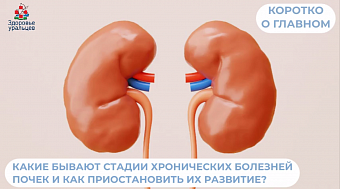 Какие бывают стадии хронических болезней почек?