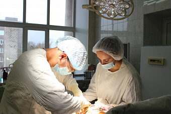 «У кого-то жена салфетки вышивает, а моя – кровеносные сосуды»: в День семьи, любви и верности медики рассказали о совместной работе с партнёром