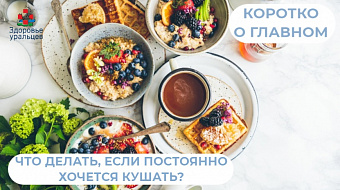 Что делать, если постоянно хочется кушать? Рассказывает врач-эндокринолог
